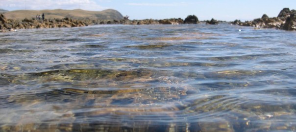 Sea and Rocks